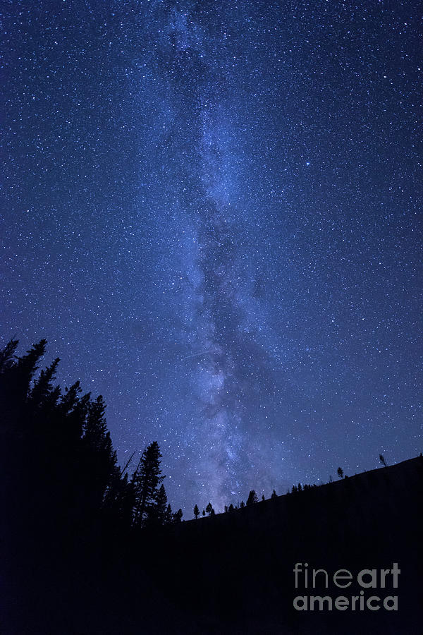 Milky Way Galaxy Photograph by Juli Scalzi