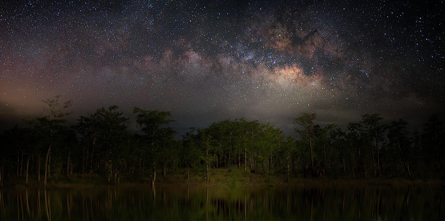 Milky Way in Gator Country Photograph by Mark Andrew Thomas