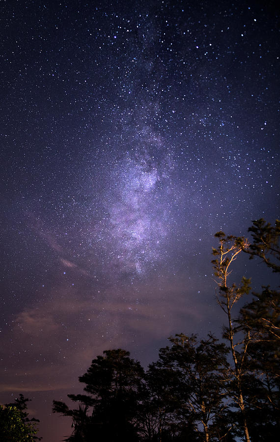 Milky Way in the Summer Sky Photograph by Mark Andrew Thomas
