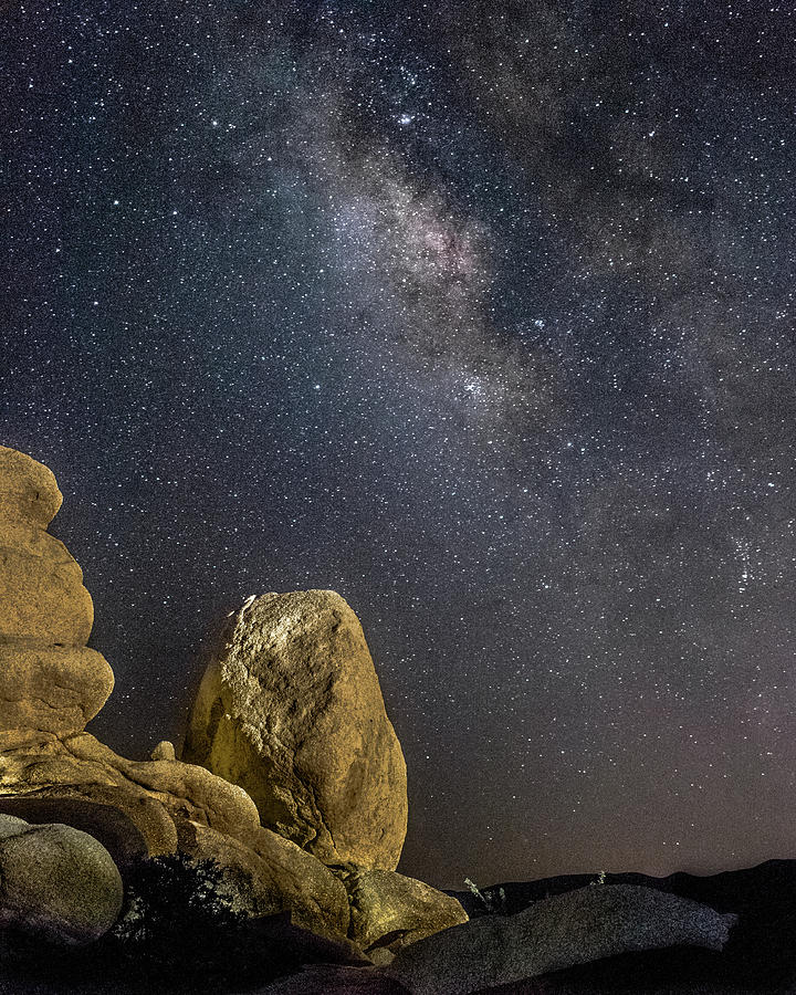 Milky Way Joshua Tree Photograph by Adam Rainoff