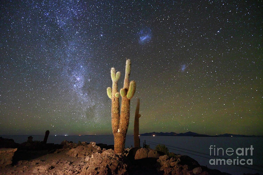 Milky Way Magellanic Clouds and Giant Cactus Incahuasi Island Bolivia Photograph by James Brunker