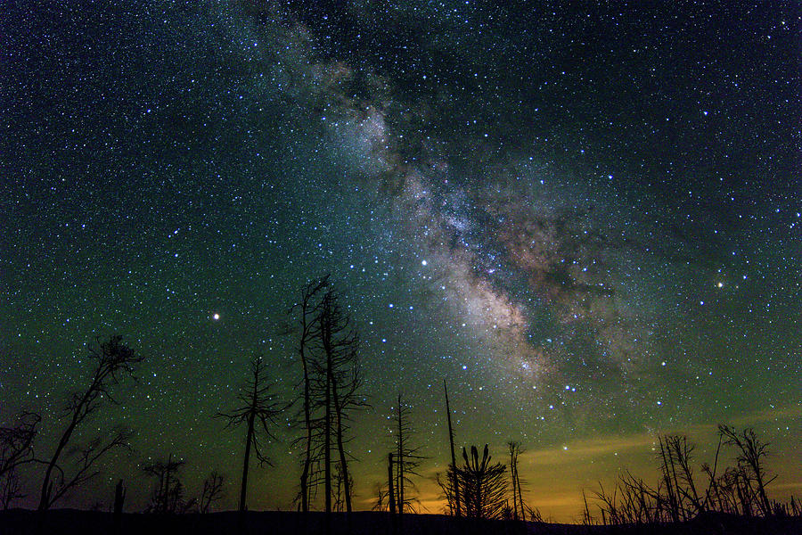 Milky Way over Burnt Trees 2 Photograph by Randy Robbins - Fine Art America