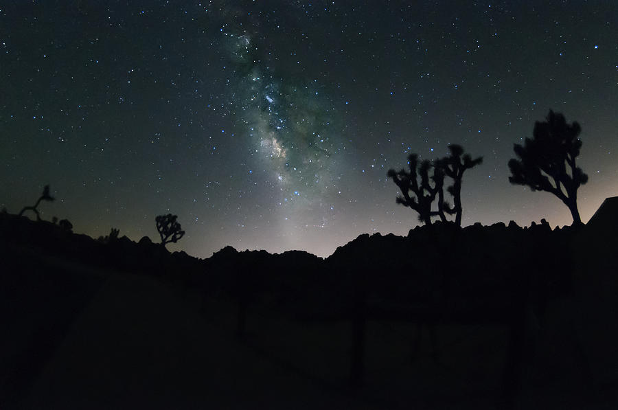 California Photograph - Milky Way over Joshua Tree Park by Greg Amptman