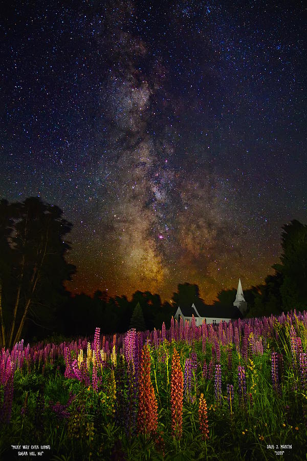 Milky Way Over Lupine Field Photograph by Dale J Martin