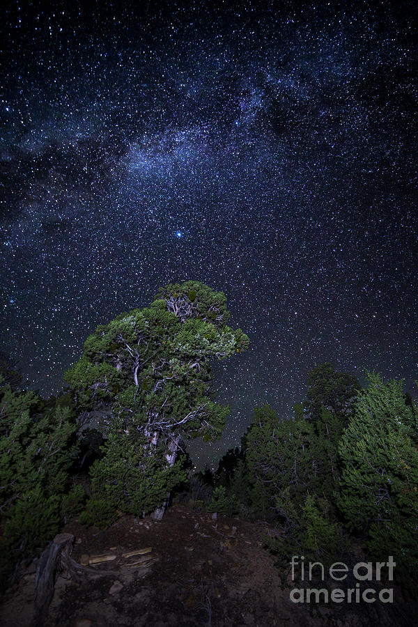 National Parks Photograph - Milky Way over Mesa Verde by Twenty Two North Photography