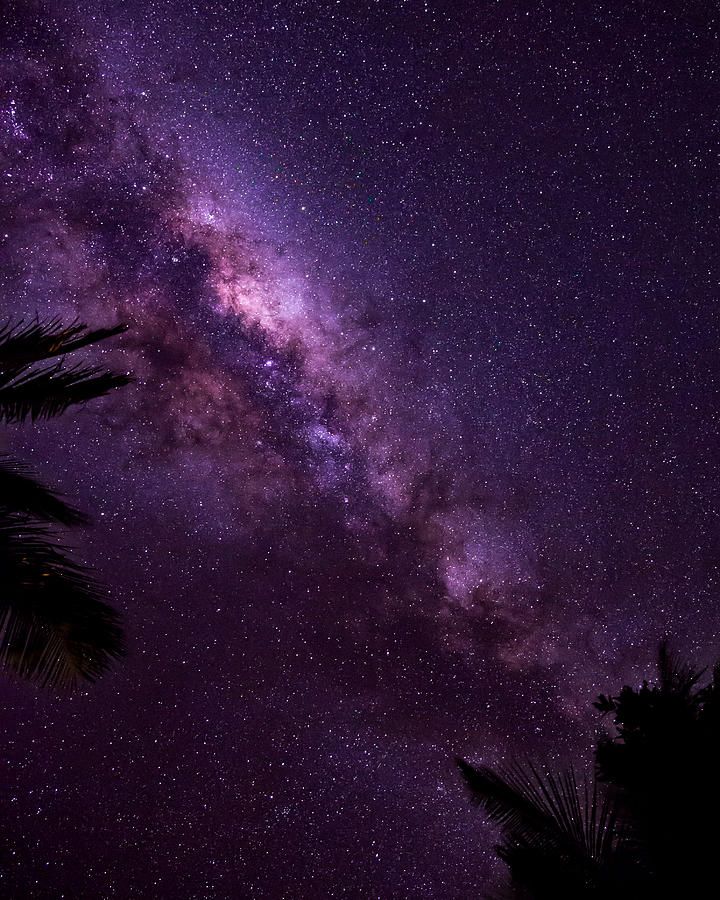 Milky Way Over Mission Beach Vertical Photograph by Avian Resources