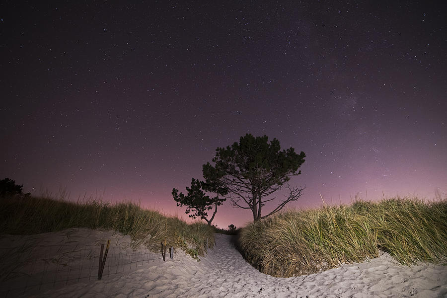 Tree Photograph - Milky Way over Wingaersheek Beach Sandy Path by Toby McGuire