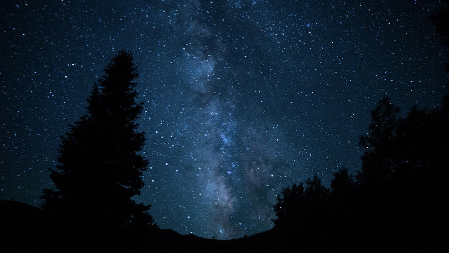 Milky Way Pines Great Basin National Park Nevada Photograph by Lawrence S Richardson Jr