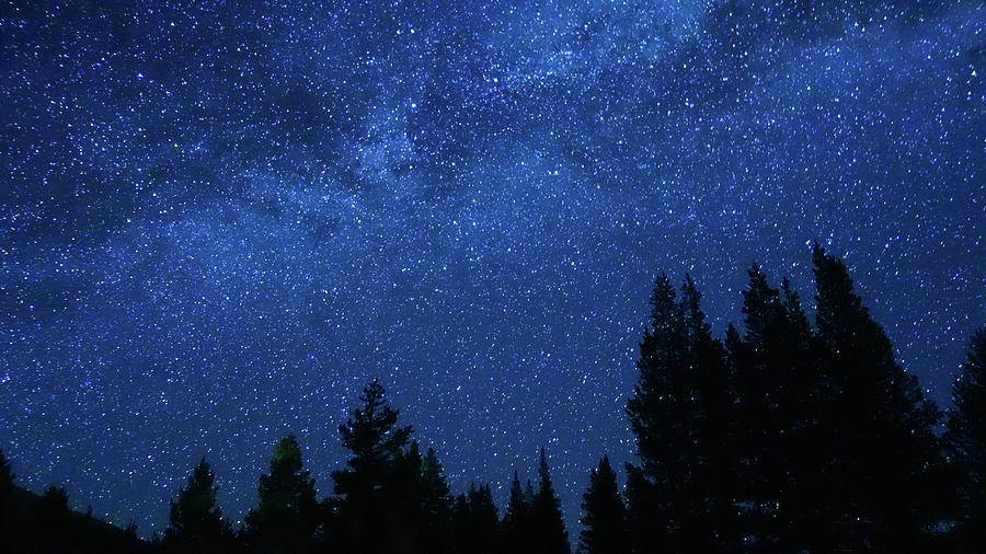 Milky Way Pines Yosemite Photograph by Lawrence S Richardson Jr