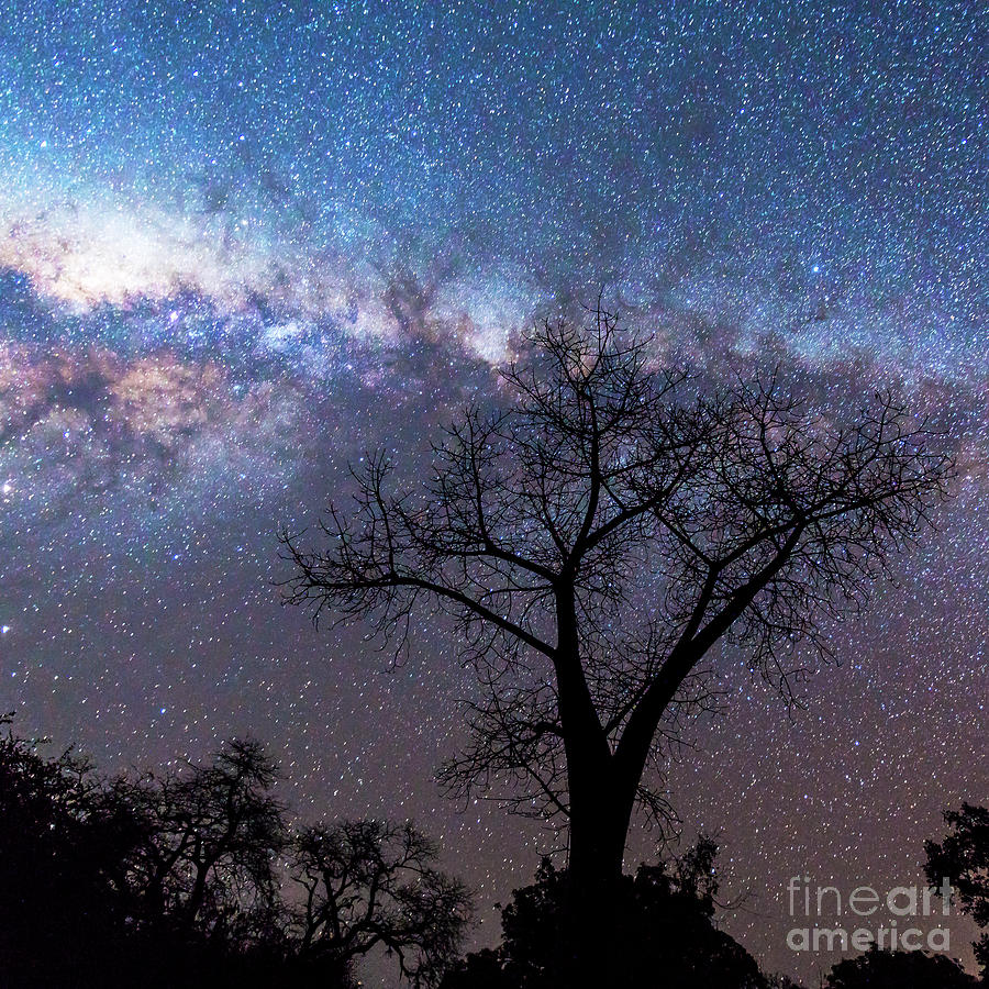 Milky Way Photograph by Scott Kerrigan
