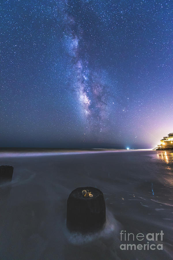 Milky Way Sea Shells Photograph by Robert Loe
