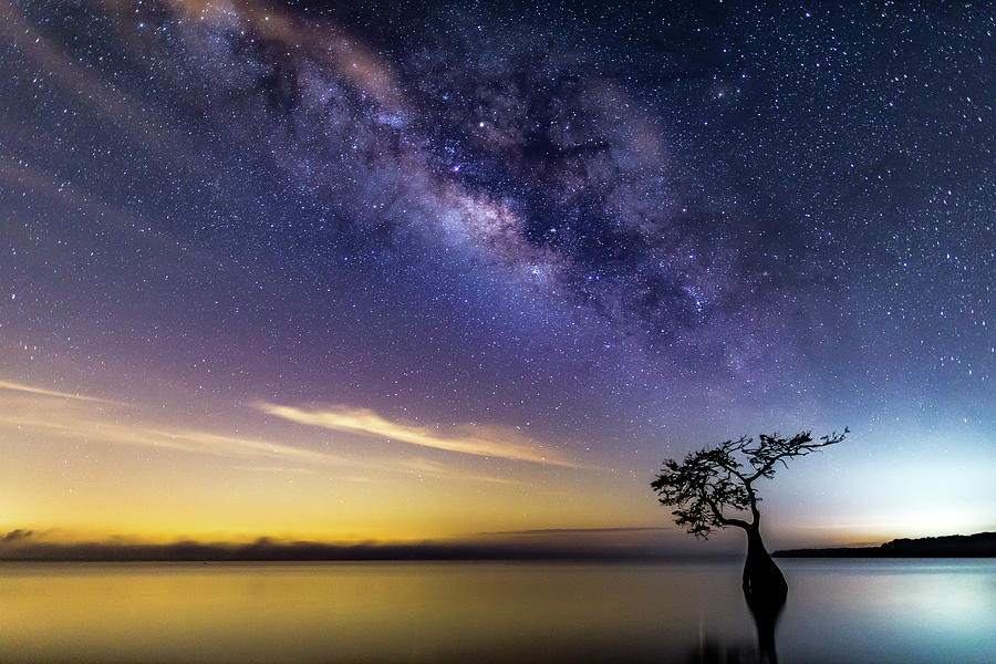 Milky Way splendor over Blue Cypress Lake in South Florida. Photograph by Stefan Mazzola
