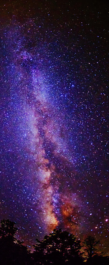 Milky way splendor Vertical take Photograph by Vishwanath Bhat