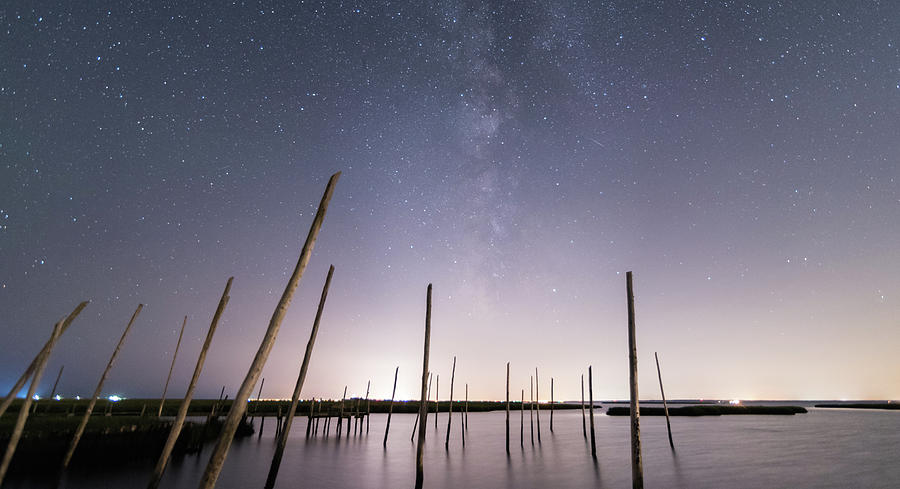 Milky Way Sticks Photograph by Kristopher Schoenleber