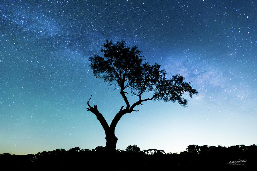 Space Photograph - Milky Way Tree by Rowdy Winters
