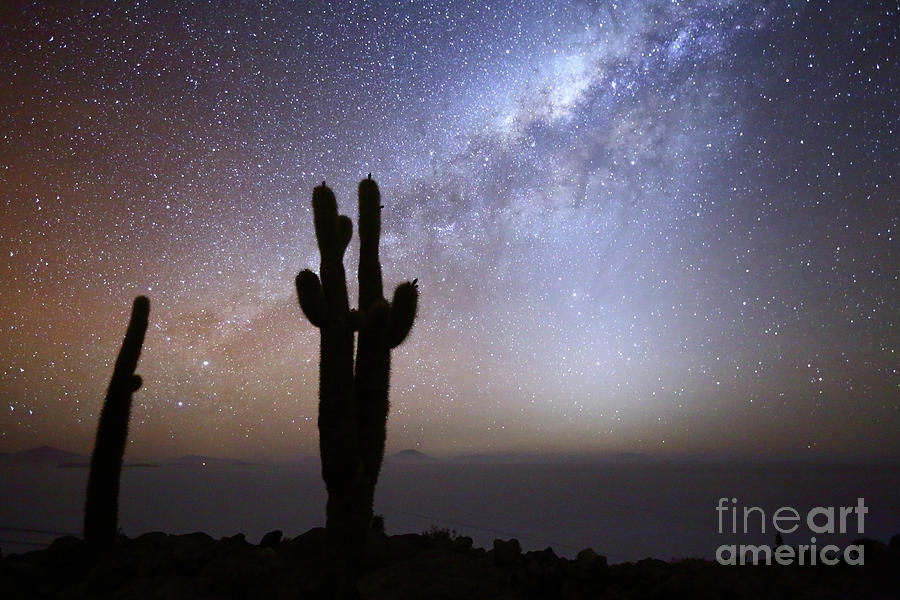 Milky Way Zodiacal Light and Cacti Silhouettes Incahuasi Island Bolivia Photograph by James Brunker