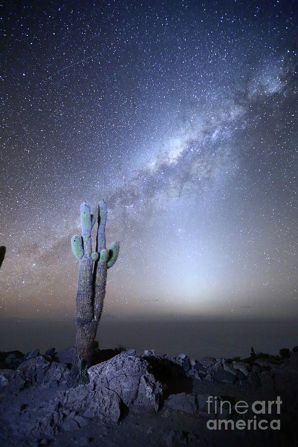 Milky Way Zodiacal Light and Giant Cactus Incahuasi Island Bolivia Photograph by James Brunker