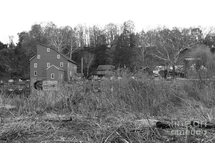 Mill at Clinton Among the Reeds Photograph by Christopher Lotito