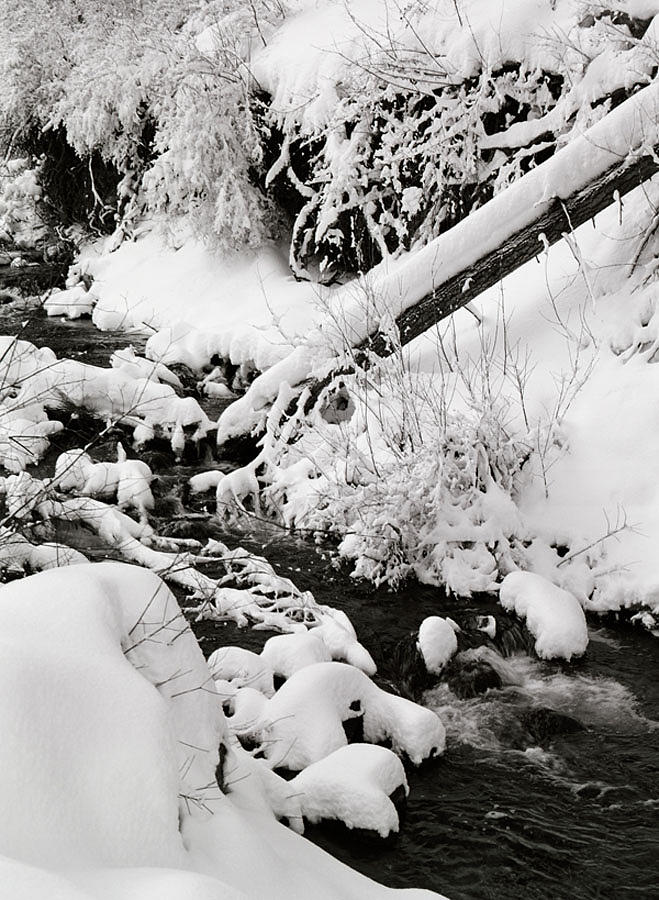 Mill Creek Photograph - Mill Creek Canyon in Winter by Dennis Hammer Mill Creek Photograph - Mill Creek Canyon in Winter by Dennis Hammer
