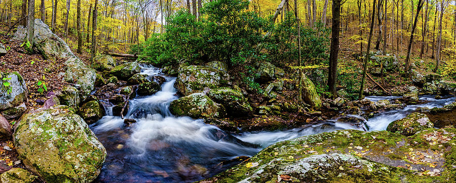 Mill Creek in Fall #4 by Joe Shrader Mill Creek in Fall #4 by Joe Shrader
