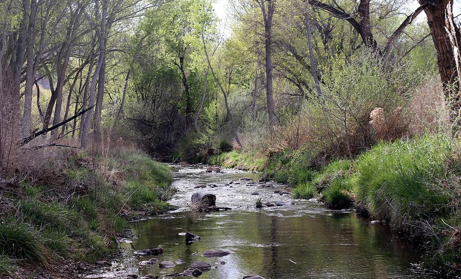 Mill Creek in Spring  Photograph by Christy Pooschke