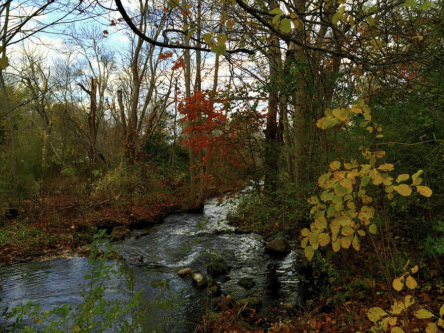 Mill Creek, Sandwich Massachusetts Photograph by Frank Winters