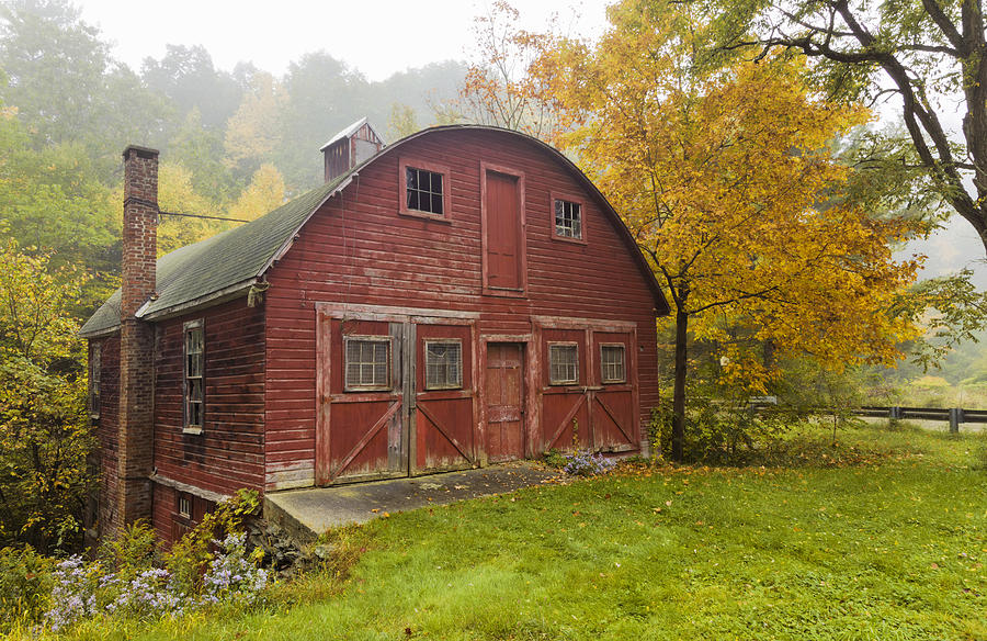 Mill In Autumn Photograph by Tom Singleton