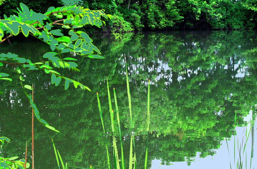 Mill Pond Reflections Photograph by Ian  MacDonald