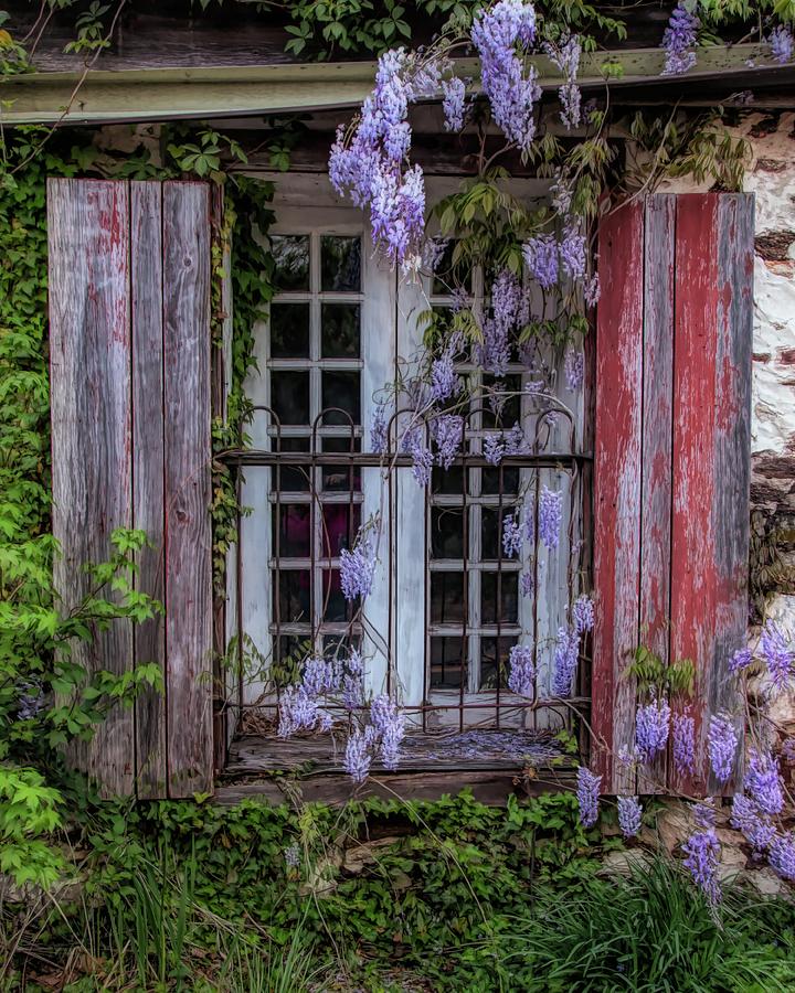 Mill Window Framed By Wisteria  Photograph by Kristia Adams