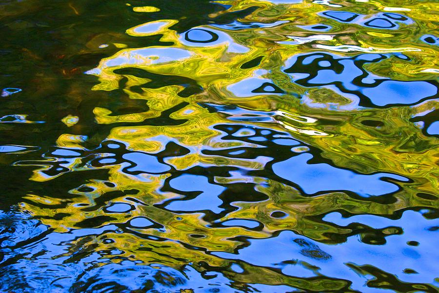 Millefiori Reflection Photograph by Polly Castor