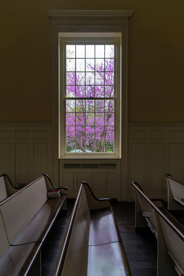 Miller Chapel at Princeton Theological Seminary Photograph by Steven Richman