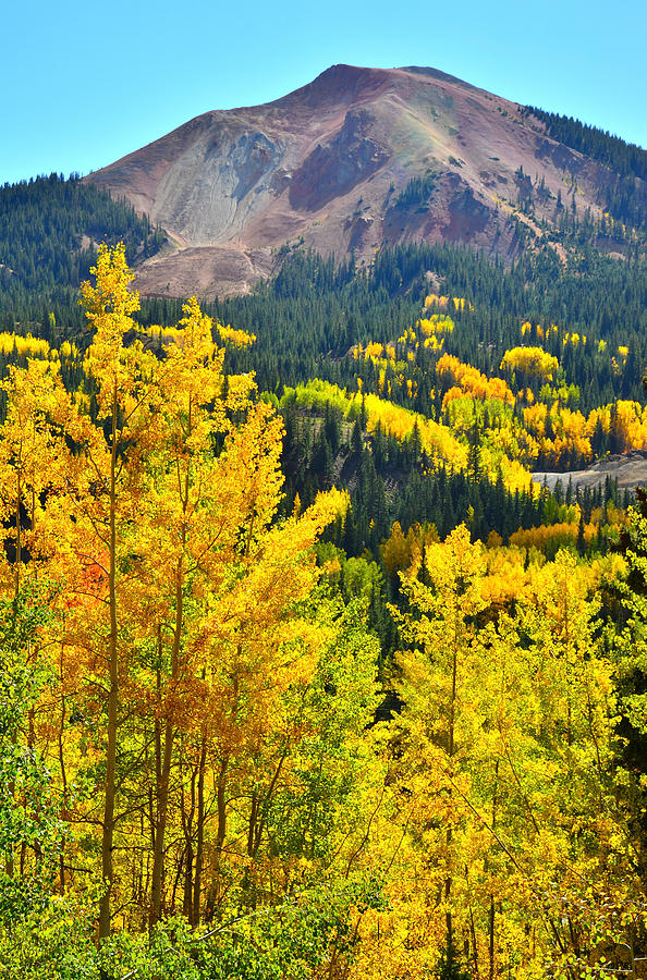 Million Dollar Highway Aspens Photograph by Ray Mathis