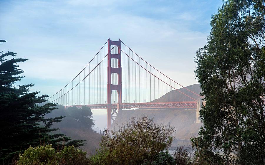 Golden Gate Bridge and Trees Photograph by Janet Kopper
