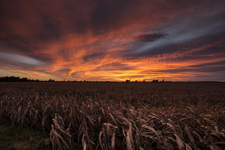 Sunset Photograph - Milo Harvest Sunset by Chris Harris