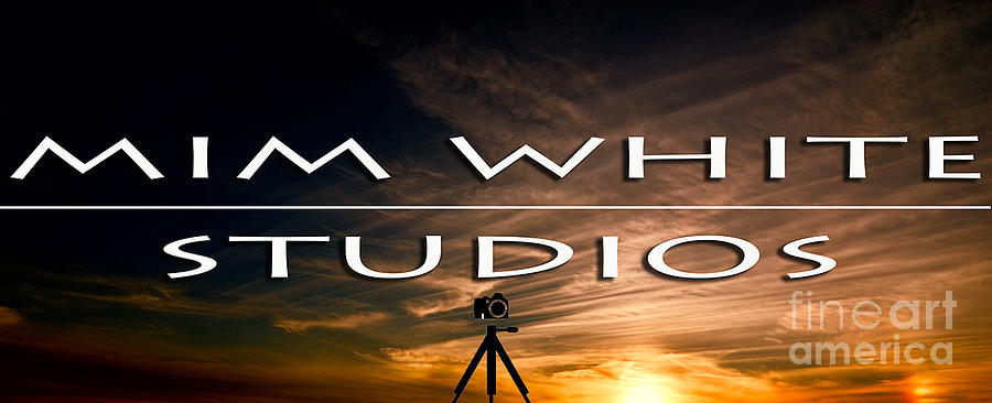 Mim White Studios Photograph by Mim White