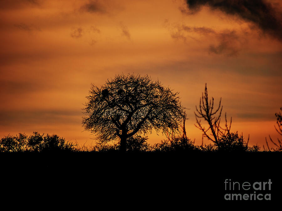 Nature Photograph - Mimbach Evening by Jorg Becker