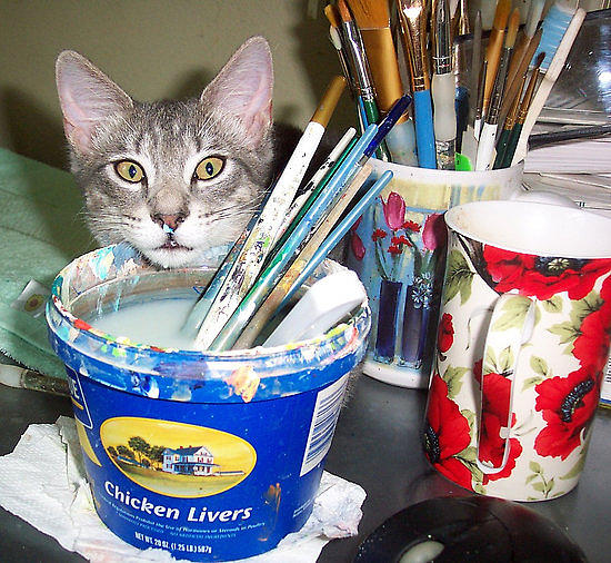 Mimi the Painter Assistant Photograph by Mary Sedici