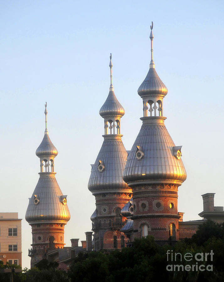 Minarets over Tampa Photograph by David Lee Thompson