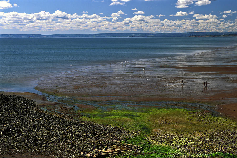 Minas Basin Nova Scotia Photograph by Sally Weigand | Fine Art America