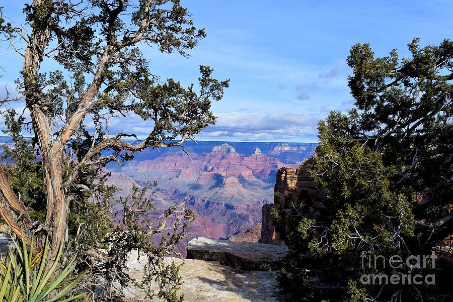 Grand Canyon National Park Photograph - Mind-Blowing Mohave Point by Janet Marie