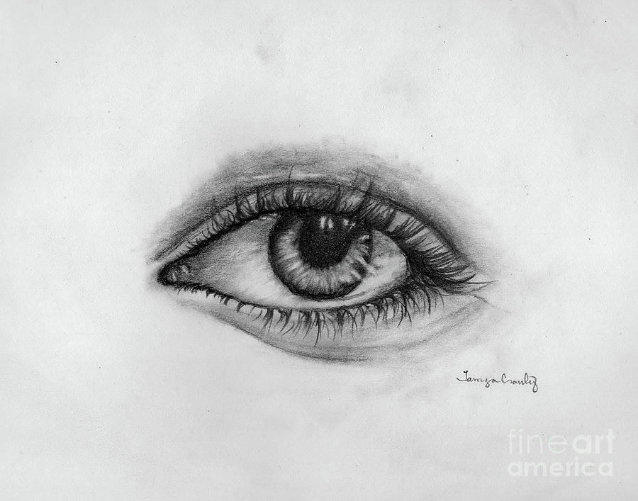 Minds Eye by Tamyra Crossley Minds Eye by Tamyra Crossley