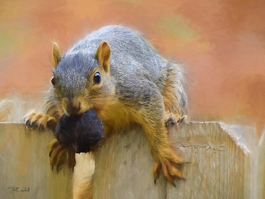 Wildlife Painting - Mine by Theresa Campbell
