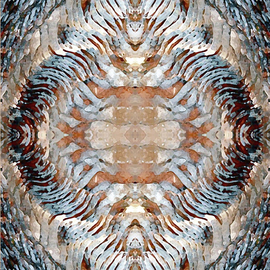Mineral Abstract Digital Art by Susan Lafleur