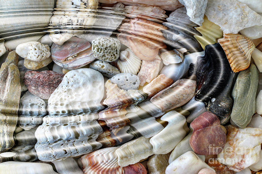 Minerals and shells Digital Art by Michal Boubin