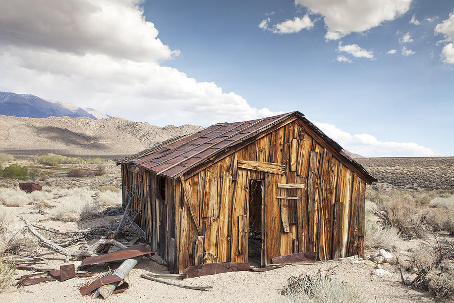 Miners Shack In Benton Hot Springs Photograph