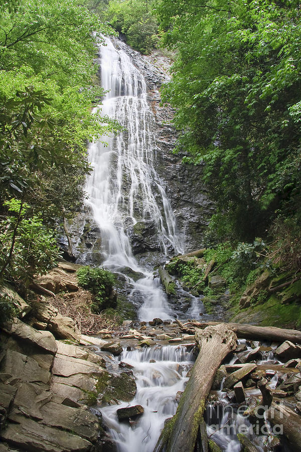 Mingo Falls in North Carolina Photograph by Jill Lang