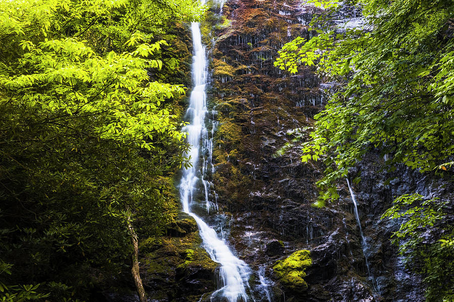 Mingo Falls Photograph by Todd Ryburn