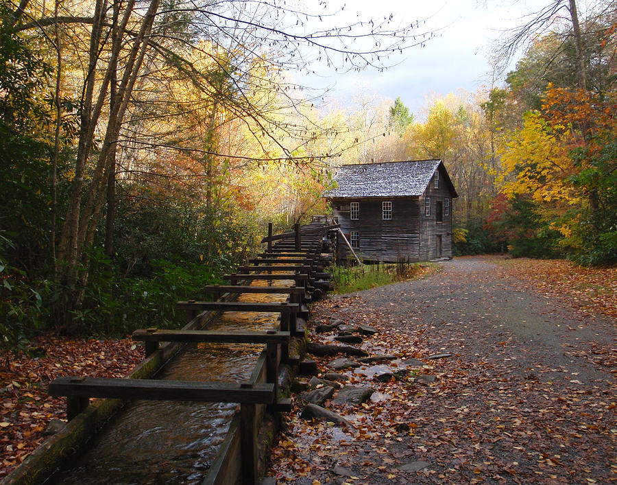 Mingus Mill Fall Color Great Smoky Mountains National Park Photograph by Wayman Benton