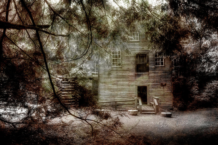Mingus Mill N.C. Photograph by Mike Eingle