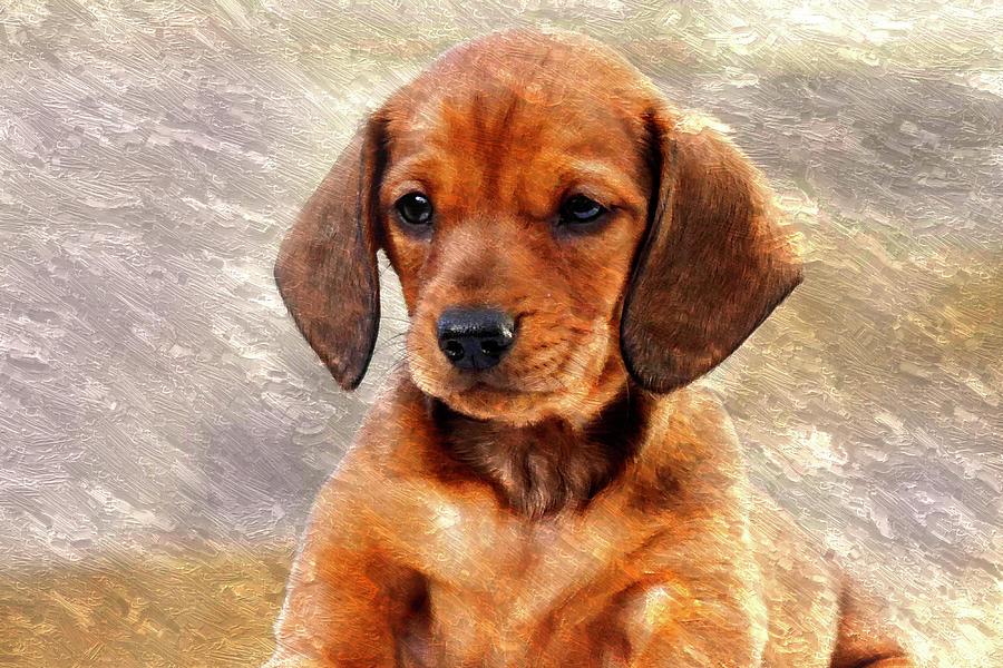Dog Mixed Media - Mini Dachsund Dog Oil Painting by Design Turnpike